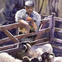 PRIDE OF THE FLOCK