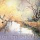 THE GOLDEN POND