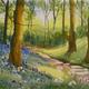 Bluebells and Cowparsley