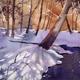 Winter Tracery 2