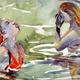 Bathers