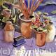 PATIO POTS