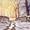 WINTER FIELDS (special…