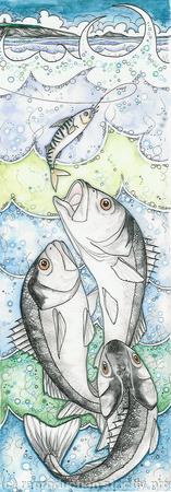 Bass Fishing