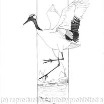 Crane