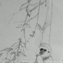 gibbon