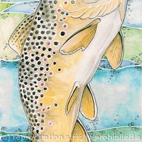 Fly Fishing