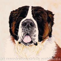 St Bernard