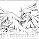 Cat Dragon