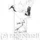 Crane