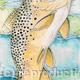 Fly Fishing