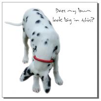 Does My Bum Look Big card