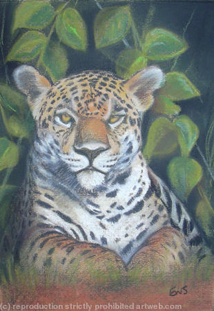 Big Cat