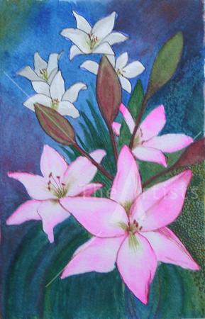 Pink Lilies