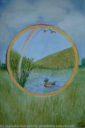 Rainbow Duck