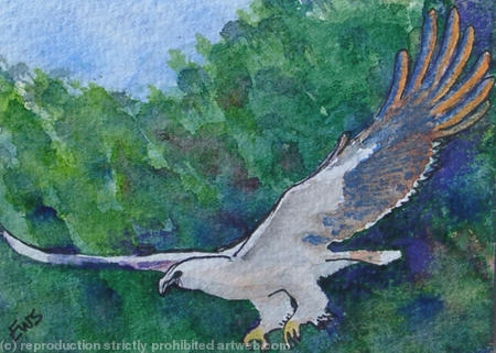 In Flight