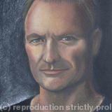 Sting - Soft pastel on black card