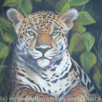 Big Cat