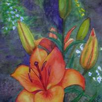 Orange Lilies