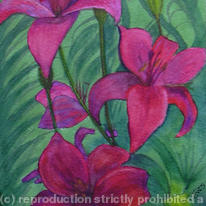 Red Lilies