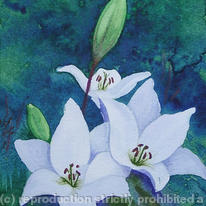 White Lilies