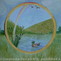Rainbow Duck