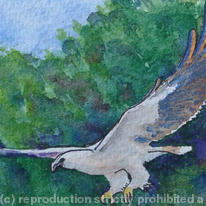 In Flight