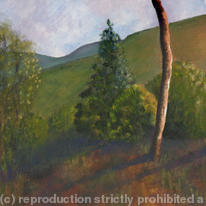 Two trees