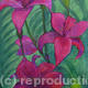 Red Lilies