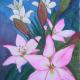 Pink Lilies