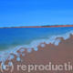 Seascape Levecque