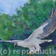 In Flight