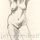 Female nude sketch