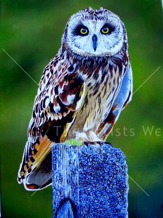 'Wise Guy'
