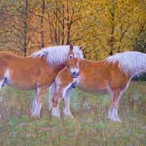 'Old Friends'