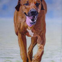 'Good Old Boy'