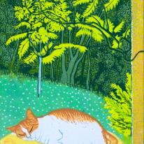 Cat on table