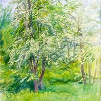 Spring tree