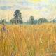Field | | 45 x 56cm | Oil on canvas Field