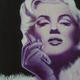 Purple Marilyn