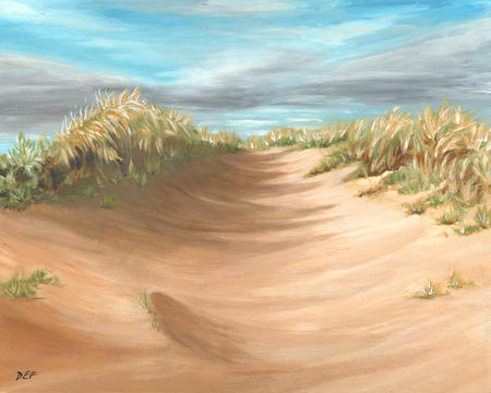 Evening Sun, West Sands Dunes
