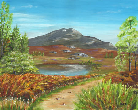 Footpath to Ben Venue
