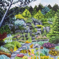 Steps down to the rockery