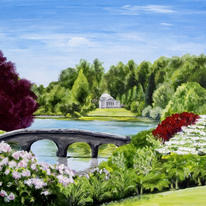 Rhododendrons at Stourhead