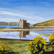 Lochranza Castle, Arran