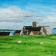 Iona Abbey from the…