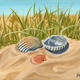 Seashells in the Sand