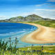 Flowers by Kiloran Bay,…