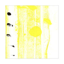 Silver birch II