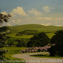 View from Penrhyn Castle